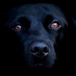 ���� �����, ������, 55 ��� - ��������� 6 ���� 2012