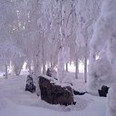 ���� Alex, �������, 37 ��� - ��������� 22 ������� 2011