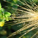 ���� ���������, ���������, 59 ��� - ��������� 28 ���� 2011 � ������ ��������