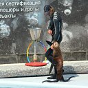 ���� ������, ���������, 51 ��� - ��������� 7 ������ 2010 � ������ ��� ������