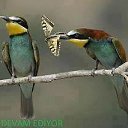 ���� Tayfun, ������, 52 ���� - ��������� 13 �������� 2012 � ������ �������