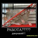 ���� Runa, ������-��-����, 38 ��� - ��������� 7 ������� 2011 � ������ ���� �������������