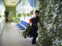 �����, ���, 62 ����