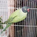 ���� ������, ����� - ��������� 19 ������ 2012 � ������ �������