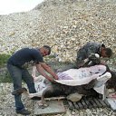 ���� ���, ������� - ��������� 15 ������� 2012 � ������ �������� ������