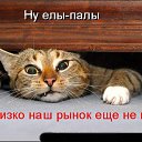  ,  -  19  2009     