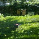 ���� �������, ������, 71 ��� - ��������� 11 ���� 2012 � ������ ������)))�