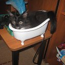 ���� ���������, ������ ��������, 46 ��� - ��������� 26 ������ 2009 � ������ ���� ��������: ��������