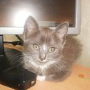 ���� �������, ���������, 59 ��� - ��������� 11 ���� 2011 � ������ �������