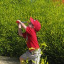  Irina, , 52  -  22  2010    