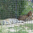 ���� Nik, �����, 63 ���� - ��������� 2 ���� 2012 � ������ ���� ���������