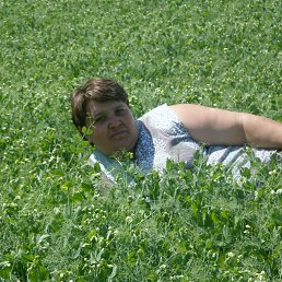 ���� ������, ������ - ��������� 9 ������� 2012