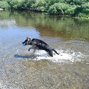 ���� ����, ���������, 55 ��� - ��������� 18 ������� 2011 � ������ ���� ����������