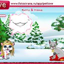  , , 36  -  10  2011   PetLove