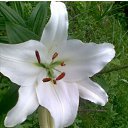 ���� �����, ������, 26 ��� - ��������� 25 ���� 2010 � ������ �������