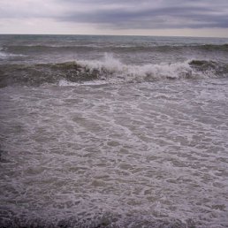 ���� �����, ���������, 49 ��� - ��������� 17 ����� 2012