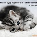 ���� �����, ������, 45 ��� - ��������� 18 ������� 2011 � ������ ����������� �����