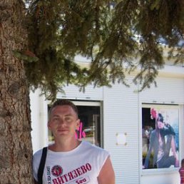 ���������, ������������, 44 ����