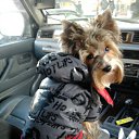 ���� ����, �����������, 30 ��� - ��������� 13 ������� 2011 � ������ �������