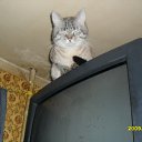 ���� Alex, ������, 50 ��� - ��������� 13 ���� 2012 � ������ ���� ����������