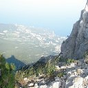  Serzh Van Der Maaremaan,  -  2  2009   