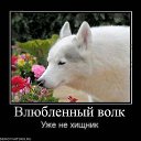 ���� Valera, ������ - ��������� 23 ������ 2013 � ������ ���� ����������