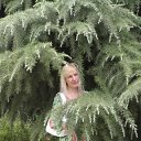 ���� �����, �����, 53 ���� - ��������� 27 ���� 2011 � ������ ������