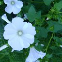 ���� ������, ������, 32 ���� - ��������� 24 ������ 2009 � ������ �...�