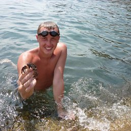 ����, �����������, 36 ���