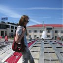  D.s., , 38  -  28  2011    2011, 