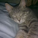 ���� �������, �������, 47 ��� - ��������� 6 ������� 2010 � ������ ���������