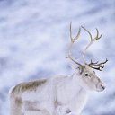 ���� �����, ����, 42 ���� - ��������� 30 ������ 2013 � ������ ������ ��������