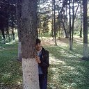  Elena, -, 52  -  7  2013    