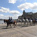 ���� Ilia, ���������, 73 ���� - ��������� 5 ������� 2013 � ������ �Stockholm�