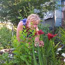 ���� �����, �����-���������, 63 ���� - ��������� 10 ������� 2013 � ������ ���� ����������