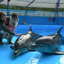 ���� �����, ������-������, 54 ���� - ��������� 7 ������� 2013 � ������ ���� ����������