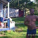  , -, 53  -  29  2013    2013 . 