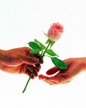 ���� �����, ���������, 41 ��� - ��������� 31 ������� 2013