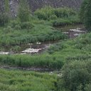 ��� �� ���� �� ������� ���� ����������