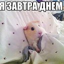 ���� ������ ��������, ������ - ��������� 1 ������ 2014 � ������ ���������