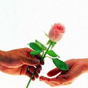 ���� �����, ���������, 41 ��� - ��������� 31 ������� 2013 � ������ ���� ����������