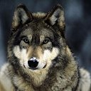 ���� ������, �����, 57 ��� - ��������� 28 ������ 2014