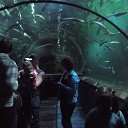 ���� Olesja Gascenko, ��������, 45 ��� - ��������� 9 �������� 2013 � ������ ���� ����������