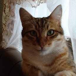 ���� Elena, ��������� - ��������� 2 ������� 2013