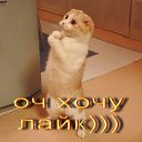 ���� ������, ����, 48 ��� - ��������� 16 ������� 2013 � ������ ���� ����������
