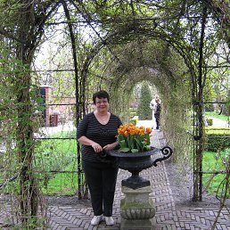 ���� ���������, �����������, 70 ��� - ��������� 14 ������ 2013