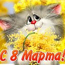 ���� �����, ������������, 48 ��� - ��������� 9 ����� 2014 � ������ ������ ��������