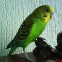 ���� �����, ���������� ����� - ��������� 12 ������� 2013 � ������ ���� ����������