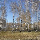 ���� �������, �������� - ��������� 24 ������� 2014 � ������ ������ ��������