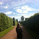  , , 42  -  13  2013    2013